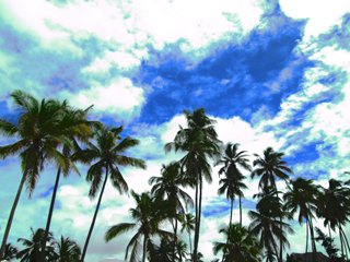 Keyword Planner for Beginners