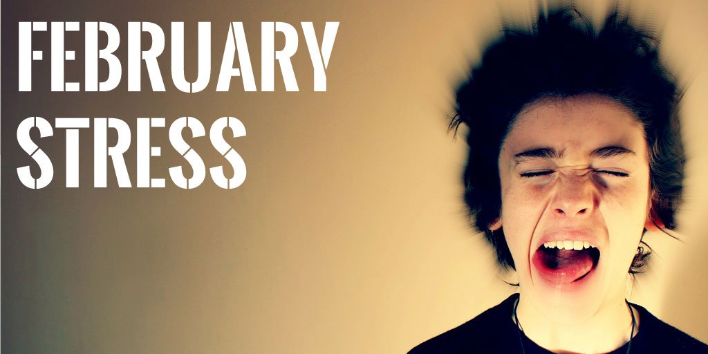 February Stress : The Stress of Starting an Online Business